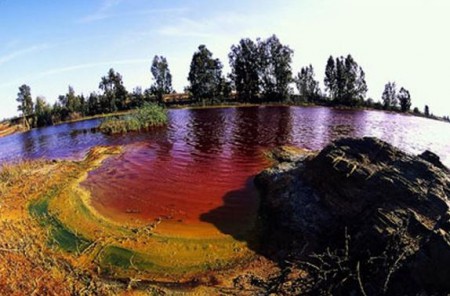 Estudio sobre Metales Pesados en la sangre de los sibateños 